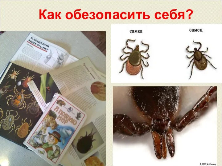 Как обезопасить себя?