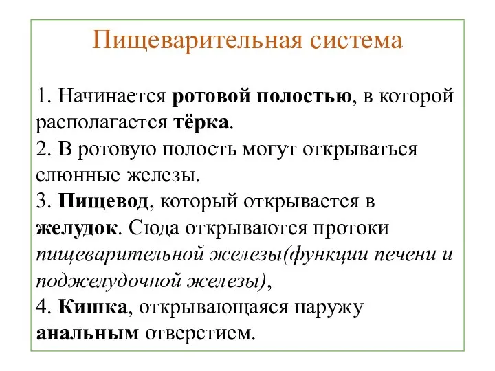 Пищеварительная система 1. Начинается ротовой полостью, в которой располагается тёрка. 2. В