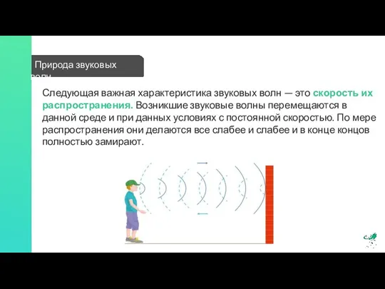 Природа звуковых волн Следующая важная характеристика звуковых волн — это скорость их