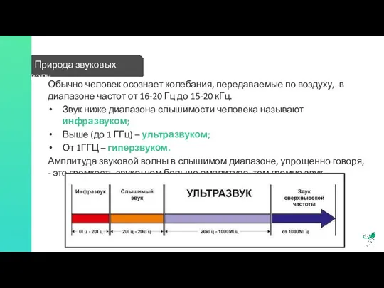 Природа звуковых волн Обычно человек осознает колебания, передаваемые по воздуху, в диапазоне