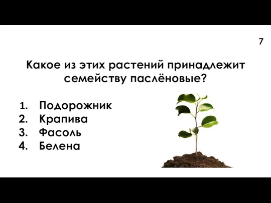 Какое из этих растений принадлежит семейству паслёновые? Подорожник Крапива Фасоль Белена 7