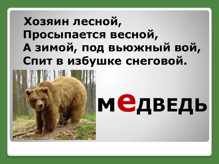 Хозяин лесной, Просыпается весной, А зимой, под вьюжный вой, Спит в избушке снеговой. меДВЕДЬ