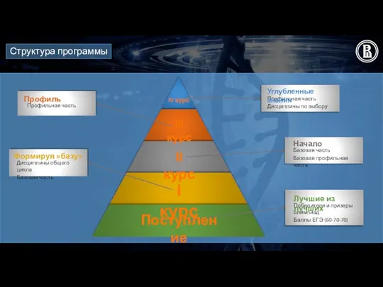Структура программы Поступление I курс II курс III курс IV курс