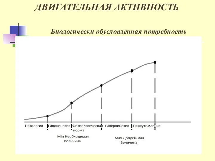 ДВИГАТЕЛЬНАЯ АКТИВНОСТЬ Биологически обусловленная потребность