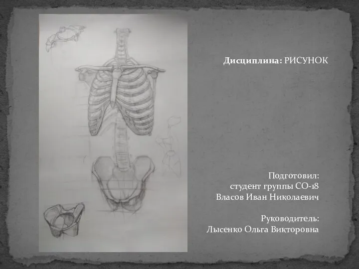 Подготовил: студент группы СО-18 Власов Иван Николаевич Руководитель: Лысенко Ольга Викторовна Дисциплина: РИСУНОК