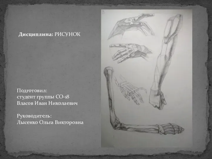 Подготовил: студент группы СО-18 Власов Иван Николаевич Руководитель: Лысенко Ольга Викторовна Дисциплина: РИСУНОК