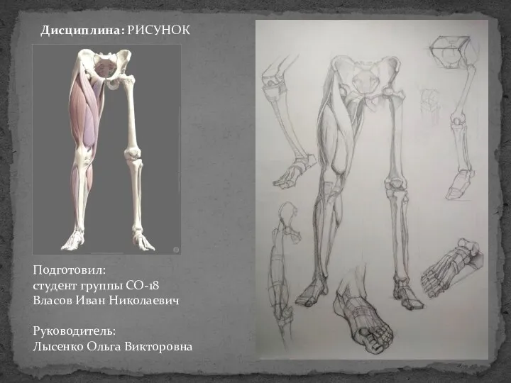 Подготовил: студент группы СО-18 Власов Иван Николаевич Руководитель: Лысенко Ольга Викторовна Дисциплина: РИСУНОК