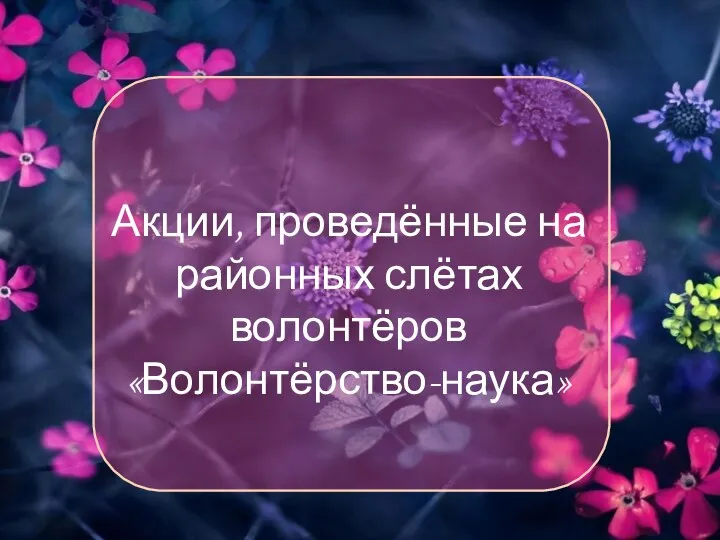 Акции, проведённые на районных слётах волонтёров «Волонтёрство-наука»