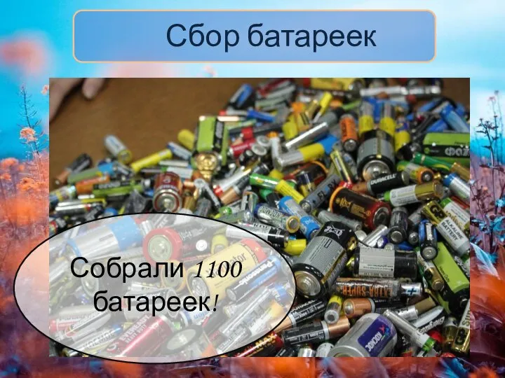Сбор батареек Собрали 1100 батареек!