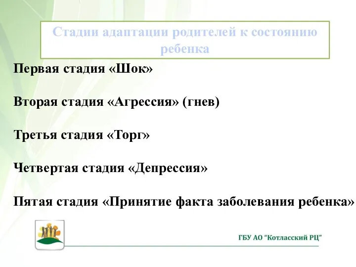 Стадии адаптации родителей к состоянию ребенка Первая стадия «Шок» Вторая стадия «Агрессия»