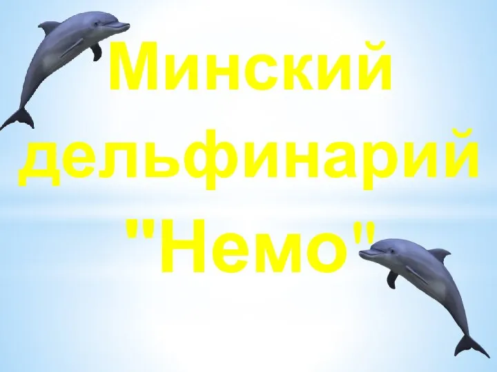 Минский дельфинарий "Немо"
