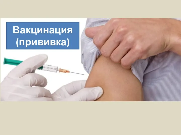 Вакцинация (прививка)