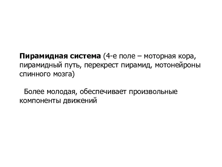 Пирамидная система (4-е поле – моторная кора, пирамидный путь, перекрест пирамид, мотонейроны