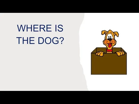 WHERE IS THE DOG?