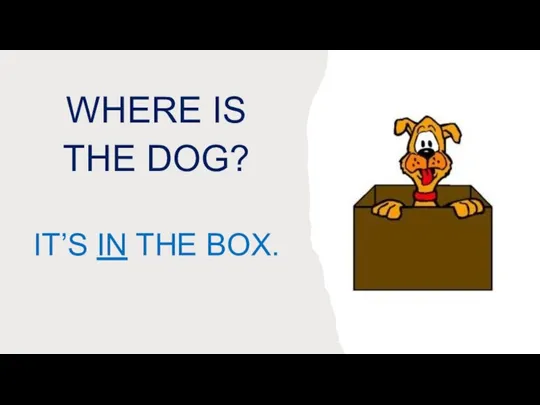 WHERE IS THE DOG? IT’S IN THE BOX.