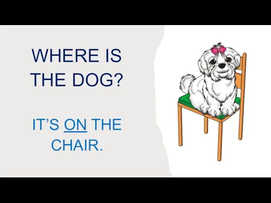 WHERE IS THE DOG? IT’S ON THE CHAIR.