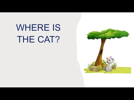 WHERE IS THE CAT?