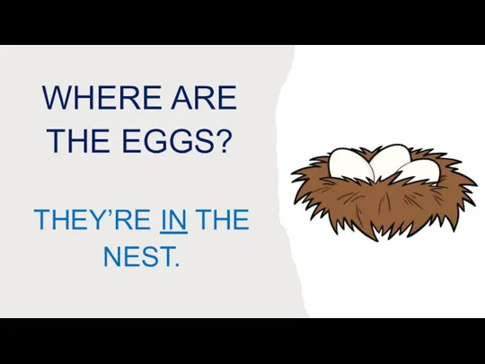 WHERE ARE THE EGGS? THEY’RE IN THE NEST.