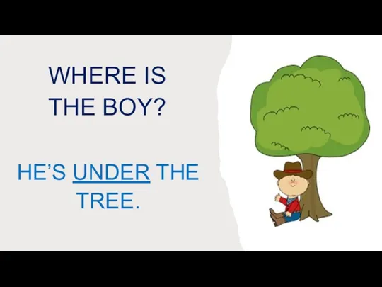 WHERE IS THE BOY? HE’S UNDER THE TREE.