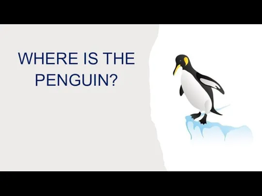 WHERE IS THE PENGUIN?
