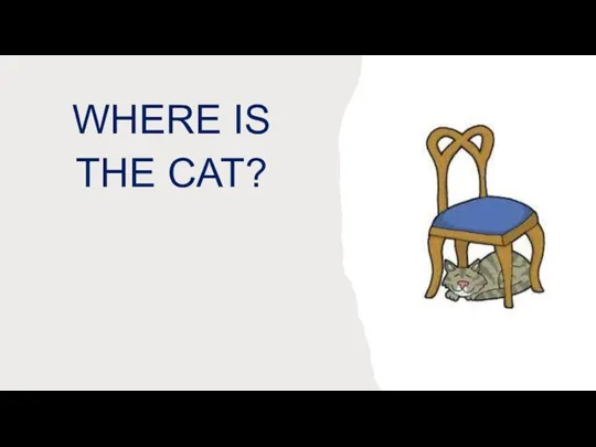 WHERE IS THE CAT?