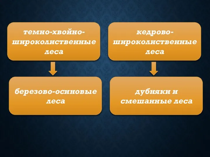 темно-хвойно-широколиственные леса березово-осиновые леса кедрово-широколиственные леса дубняки и смешанные леса