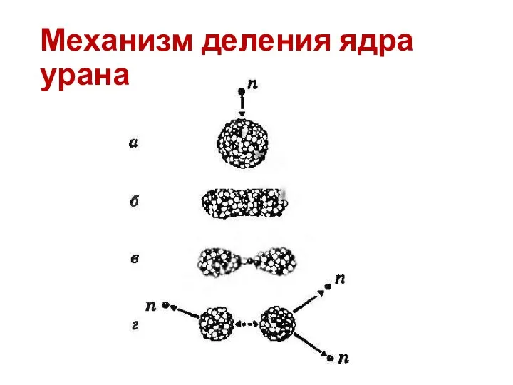 Механизм деления ядра урана