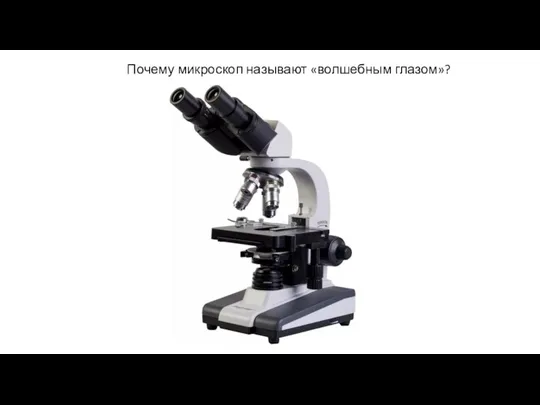Почему микроскоп называют «волшебным глазом»?