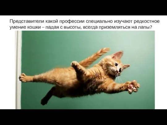 Представители какой профессии специально изучают редкостное умение кошки – падая с высоты, всегда приземляться на лапы?