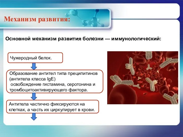 Механизм развития: Основной механизм развития болезни — иммунологический: Образование антител типа преципитинов