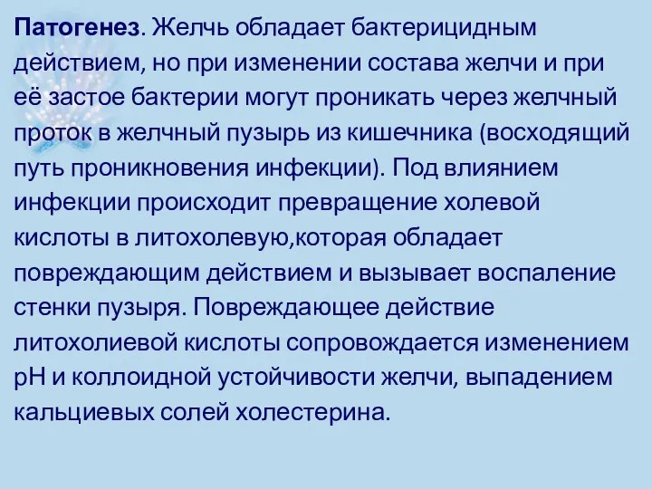 Патогенез. Желчь обладает бактерицидным действием, но при изменении состава желчи и при