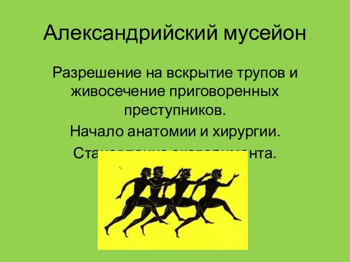 Александрийский мусейон Разрешение на вскрытие трупов и живосечение приговоренных преступников. Начало анатомии и хирургии. Становление эксперимента.