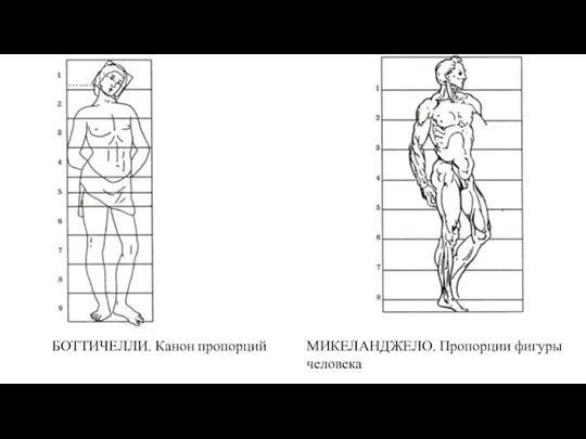 БОТТИЧЕЛЛИ. Канон пропорций МИКЕЛАНДЖЕЛО. Пропорции фигуры человека