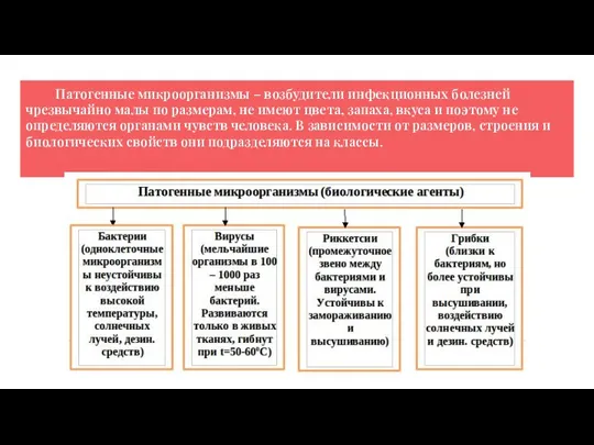 Патогенные микроорганизмы – возбудители инфекционных болезней чрезвычайно малы по размерам, не имеют