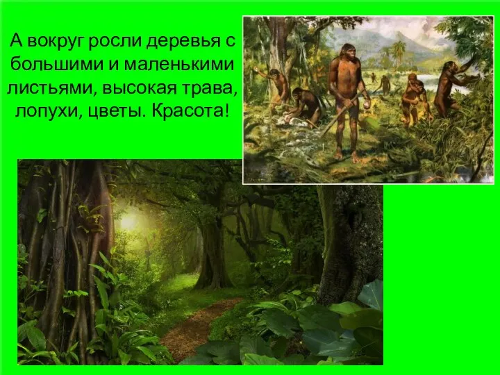 А вокруг росли деревья с большими и маленькими листьями, высокая трава, лопухи, цветы. Красота!