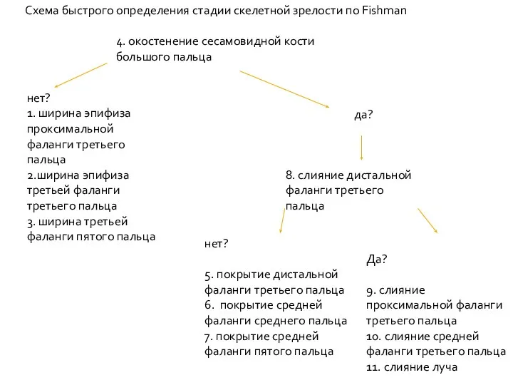 4. окостенение сесамовидной кости большого пальца нет? 1. ширина эпифиза проксимальной фаланги