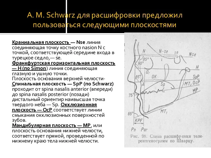 А. М. Schwarz для расшифровки предложил пользоваться следующими плоскостями Краниальная плоскость —