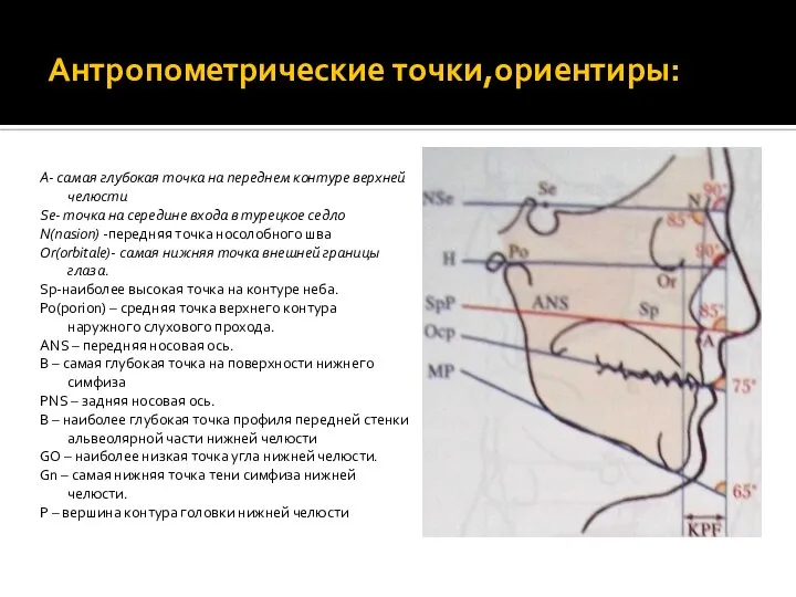 Антропометрические точки,ориентиры: А- самая глубокая точка на переднем контуре верхней челюсти Se-