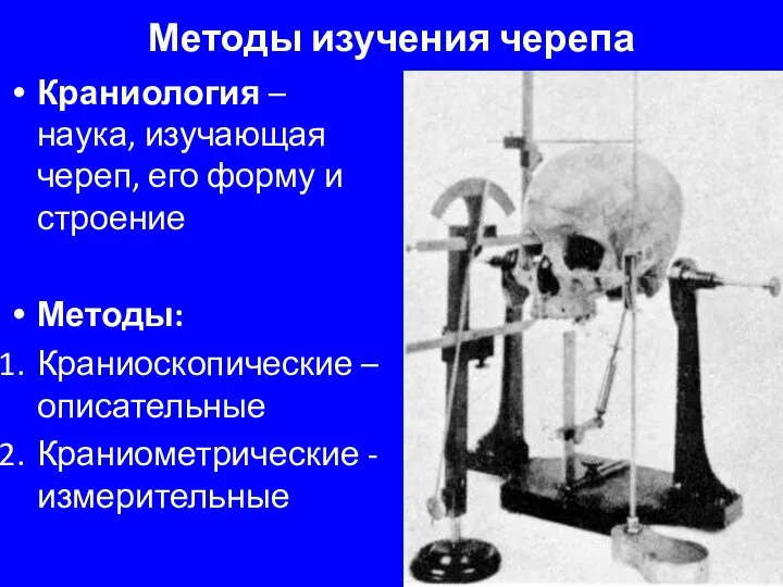 Методы изучения черепа Краниология – наука, изучающая череп, его форму и строение