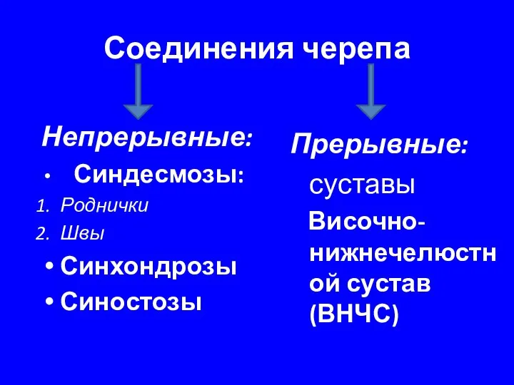 Соединения черепа Прерывные: суставы Височно-нижнечелюстной сустав (ВНЧС) Непрерывные: Синдесмозы: Роднички Швы Синхондрозы Синостозы