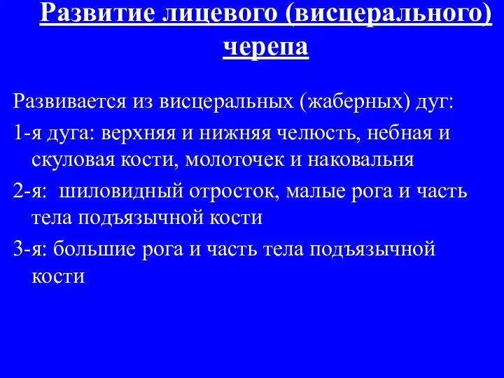 Развитие лицевого (висцерального) черепа Развивается из висцеральных (жаберных) дуг: 1-я дуга: верхняя