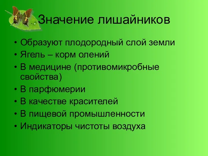 Значение лишайников Образуют плодородный слой земли Ягель – корм олений В медицине