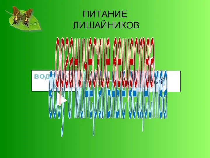 водоросль гриб воду и минеральные вещества органические вещества ПИТАНИЕ ЛИШАЙНИКОВ