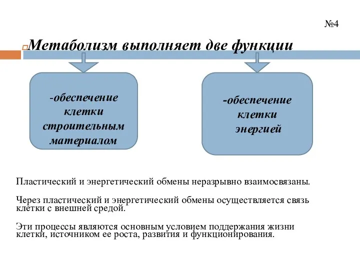 №4 Метаболизм выполняет две функции -обеспечение клетки строительным материалом -обеспечение клетки энергией