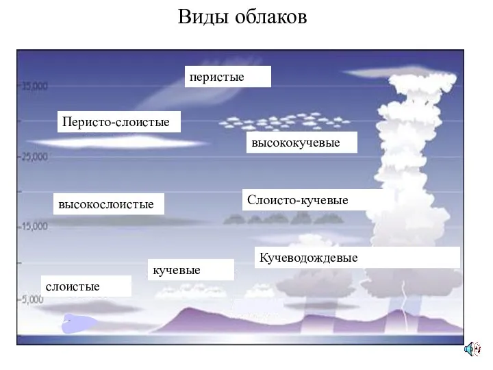 Виды облаков