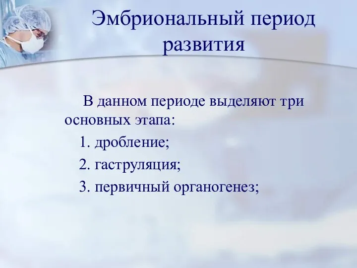 Эмбриональный период развития В данном периоде выделяют три основных этапа: 1. дробление;