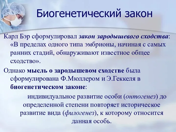 Биогенетический закон Карл Бэр сформулировал закон зародышевого сходства: «В пределах одного типа