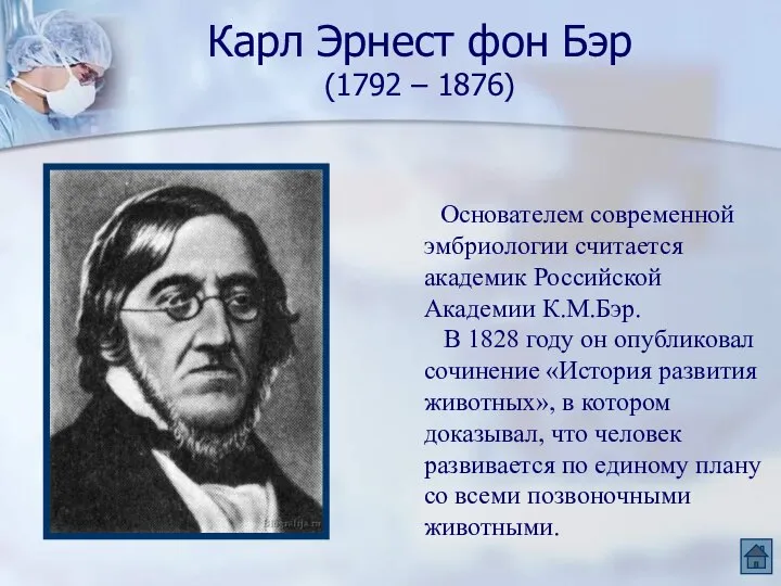 Карл Эрнест фон Бэр (1792 – 1876) Основателем современной эмбриологии считается академик