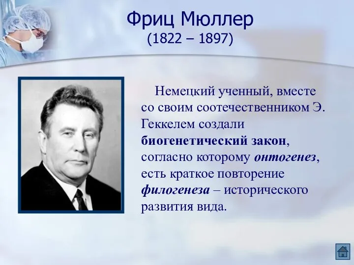 Фриц Мюллер (1822 – 1897) Немецкий ученный, вместе со своим соотечественником Э.Геккелем