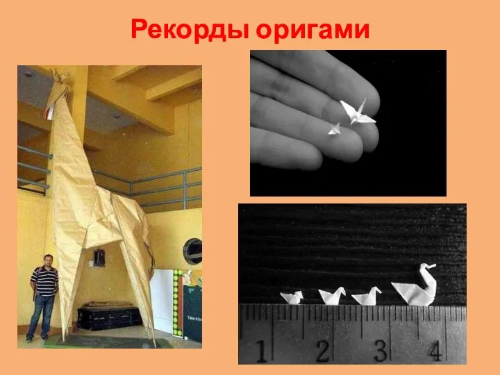Рекорды оригами
